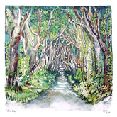 Co Antrim - The Dark Hedges